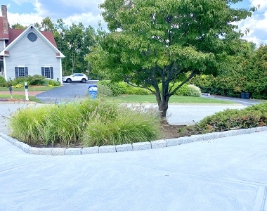 concrete-drive-way